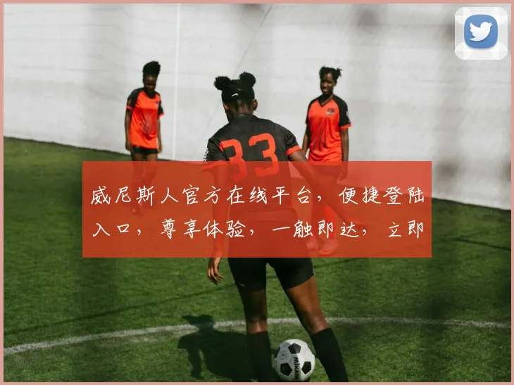 威尼斯人官方在线平台，便捷登陆入口，尊享体验，一触即达，立即进入