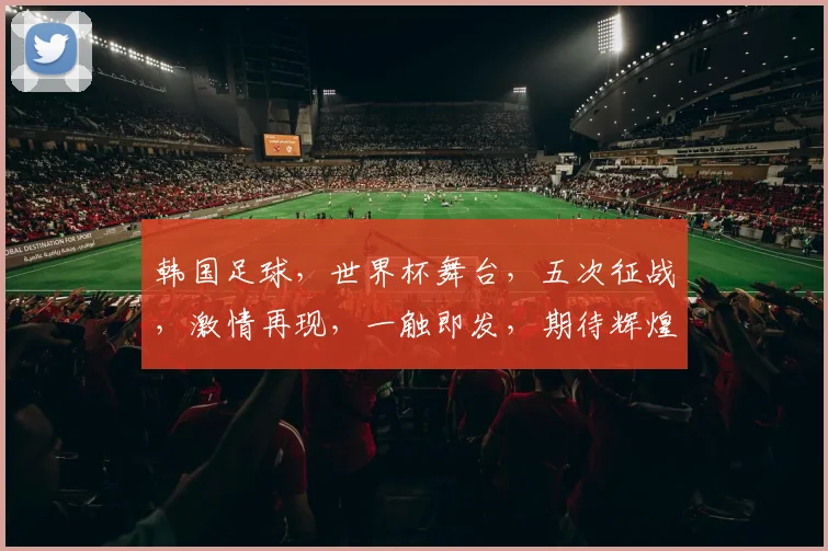 韩国足球，世界杯舞台，五次征战，激情再现，一触即发，期待辉煌