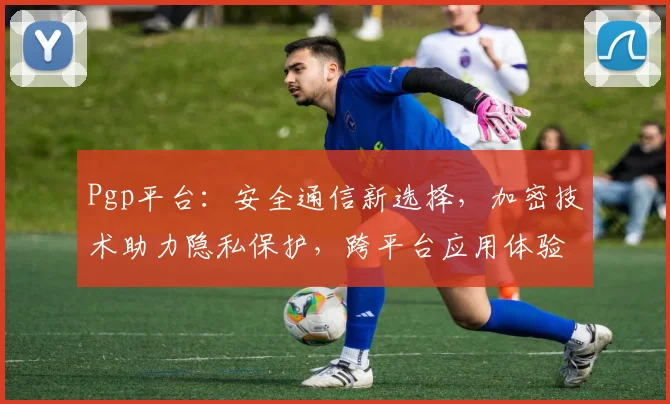 Pgp平台：安全通信新选择，加密技术助力隐私保护，跨平台应用体验佳，值得信赖